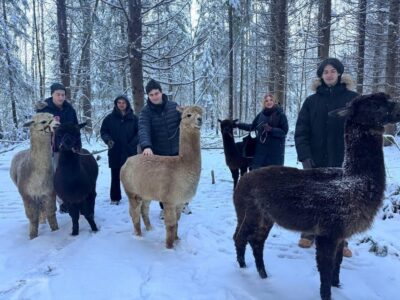 Helsinki: Alpaca Farm Tour with Guided Walk (private) - The Guided Forest Walk With Your Own Alpaca: Slow Travel, Up Close