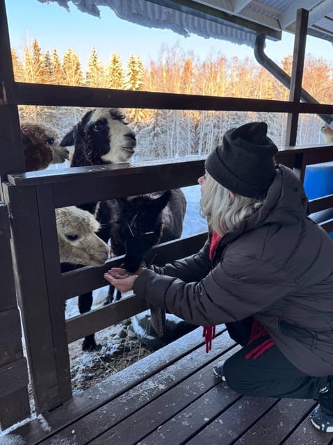 Helsinki: Alpaca Farm Tour with Guided Walk (private) - Who This Alpaca Tour Suits Best (and Who Should Skip)