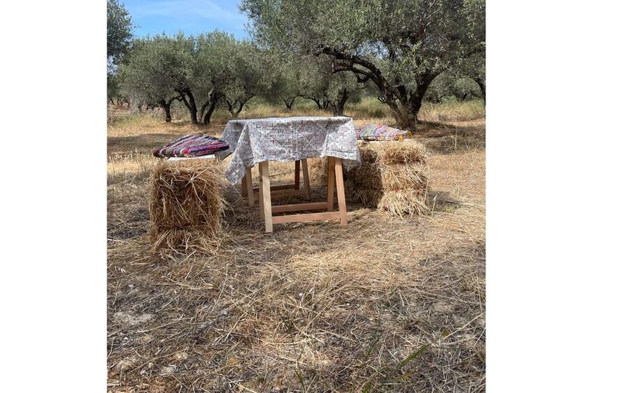 Heraklion :Olive & Dragon Farm Tour & Cretan Farmers Brunch - Key things to look for