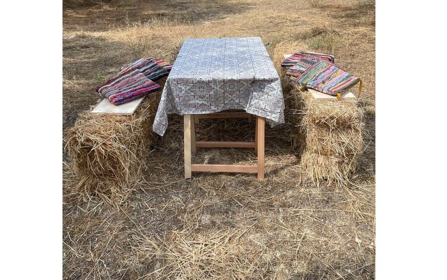 Heraklion :Olive & Dragon Farm Tour & Cretan Farmers Brunch - What you see on the olive tree farm tour