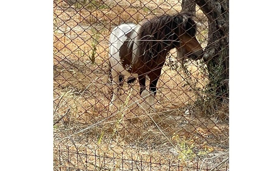 Heraklion :Olive & Dragon Farm Tour & Cretan Farmers Brunch - The small practical considerations that matter
