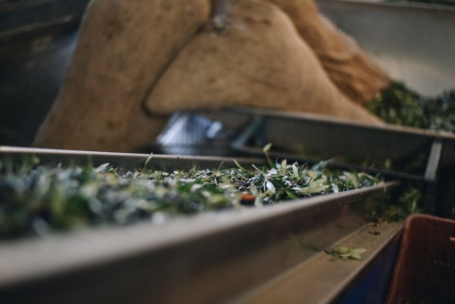 Heraklion: Olive Farm Tour with Tasting of Local Delicacies - Kleanthi Olive Farm in Skalani: what you’re really paying for