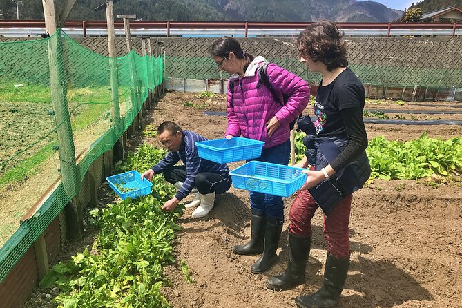 Hida Private E-Bike Tour with Premium Lunch and Farm Experience - Starting at JR Hida-Hagiwara: how the day flows