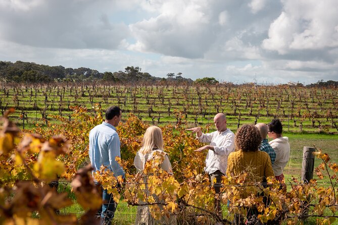 Hidden Gems: Boutique Full-Day Wine, Farm & Lunch Tour - Temper Temper Fine Chocolate: Quick, Fun, and Easy to Skip-Not-Overthink