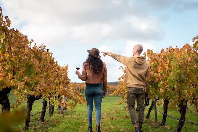 Hidden Gems: Boutique Full-Day Wine, Farm & Lunch Tour - The Heart of the Day: Boutique Wine Stops That Actually Feel Personal