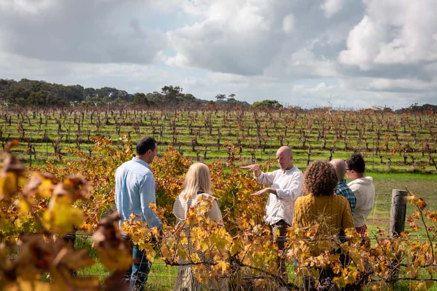 Hidden Gems Margaret River: Authentic Wine & Farm Experience - Why This Margaret River Wine-and-Farm Day Feels Like a Real Local Day