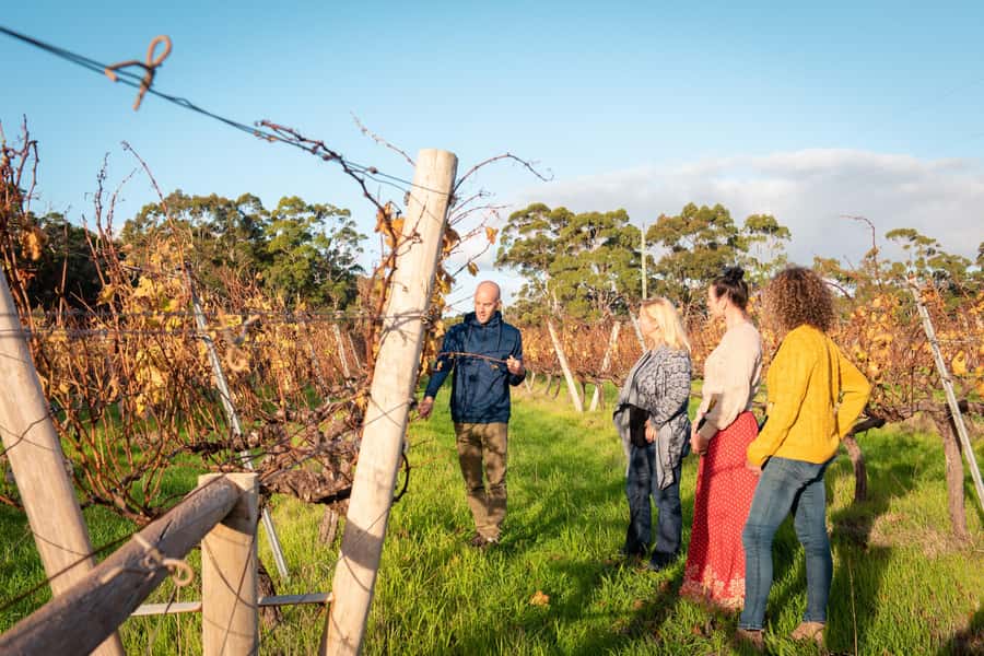 Hidden Gems Margaret River: Authentic Wine & Farm Experience - Cowaramup Snack Time: A Quick Taste of the Local Rhythm
