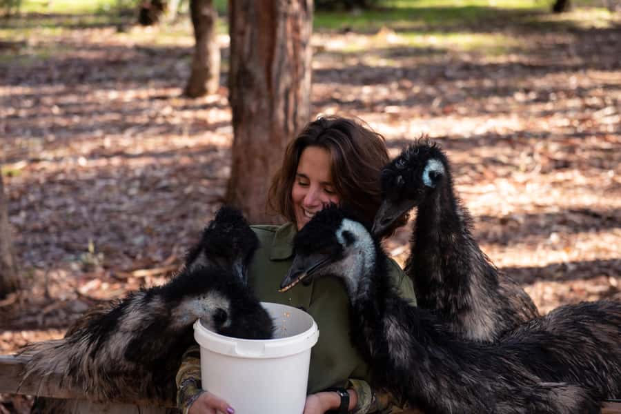 Hidden Gems Margaret River: Authentic Wine & Farm Experience - Three Boutique Wineries: How to Make the Most of Each Tasting