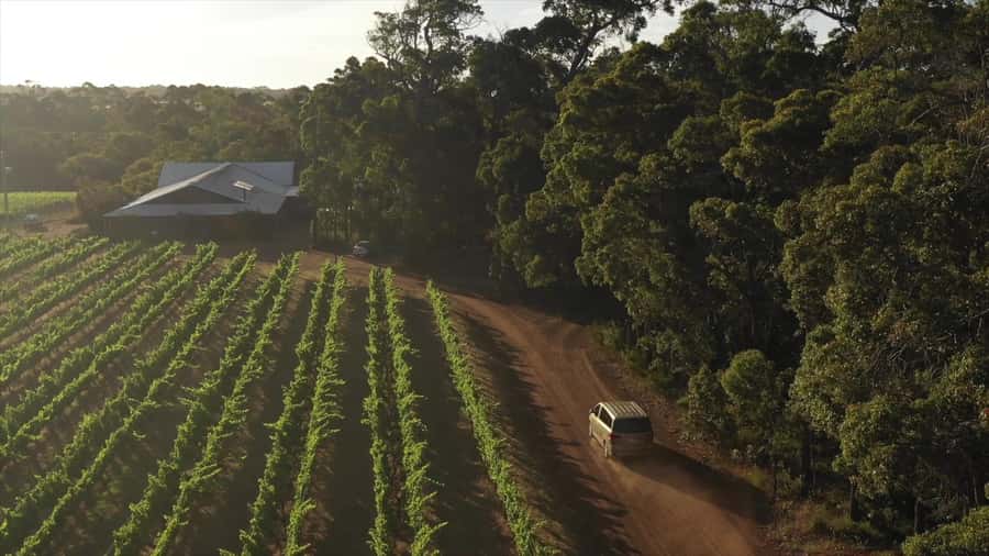 Hidden Gems Margaret River: Authentic Wine & Farm Experience - How the Timing and Small-Group Feel Help You Ask Questions