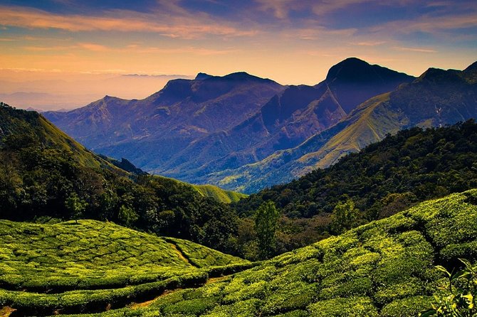 Hill station farm house stay - Should you book this Hill Station Farm House stay to Periyar?