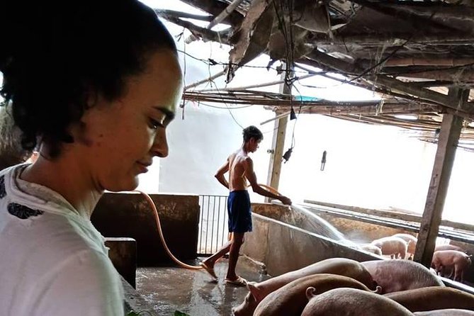 Ho Chi Minh City Full-Day Farm trip with Healthy Cooking Class - From hotel pickup to the farm gate at 8:00
