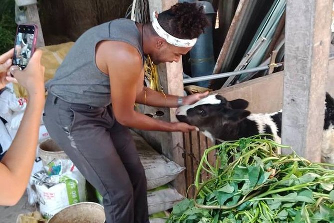 Ho Chi Minh City Full-Day Farm trip with Healthy Cooking Class - Hands-on cooking class: wraps, papaya salad, banana spring rolls