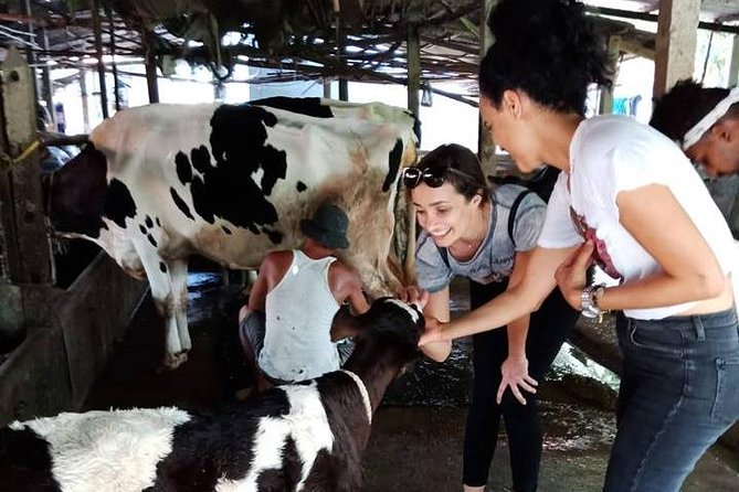 Ho Chi Minh City Full-Day Farm trip with Healthy Cooking Class - Rice paper factory stop and the nutrition lesson behind the flavors