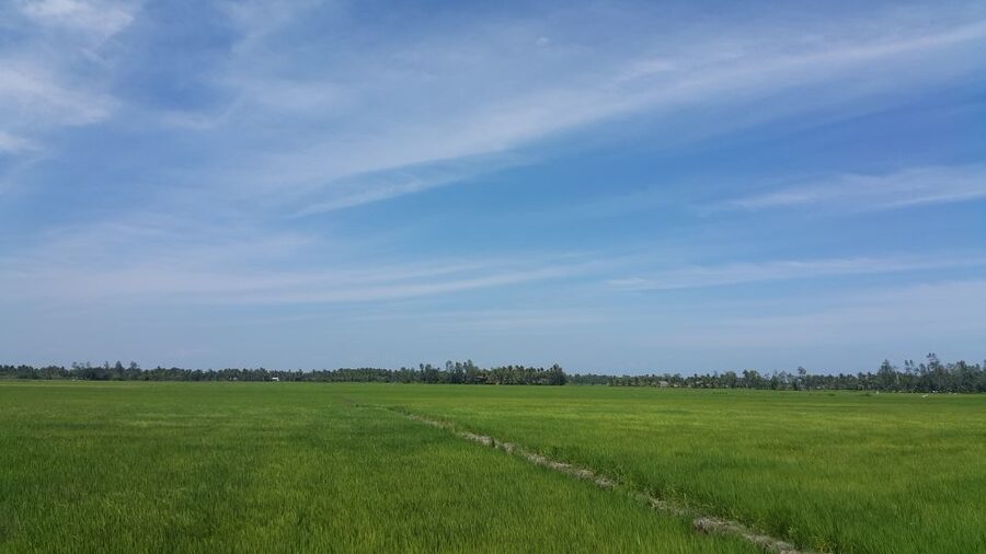 Ho Coc Beach, Nature Reserve & Dragon Fruit Farm Day Tour - Wet seafood market + Phuoc Buu Nature Reserve