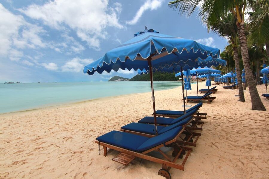 Ho Coc Beach, Nature Reserve & Dragon Fruit Farm Day Tour - Who this tour fits best (and who should reconsider)