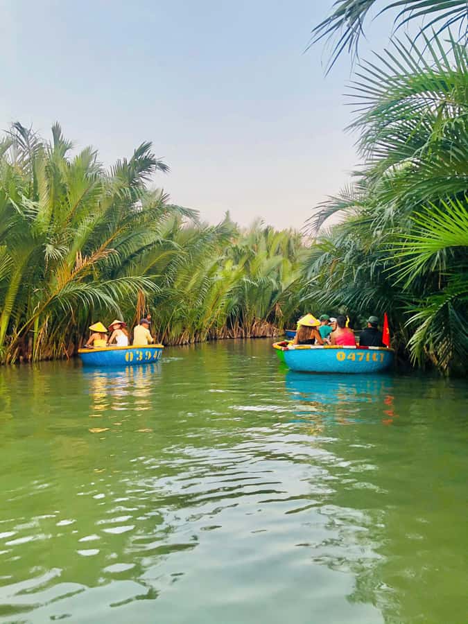 Hoi An: Countryside Bicycle Tour with Farm, Basket Boat Ride - Meet the buffalo: riding and feeding with a real farm routine