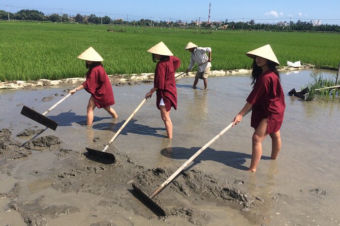 Hoi An Rice Farm Tour and Buffalo Riding with Local Home Meal - Key highlights before you go