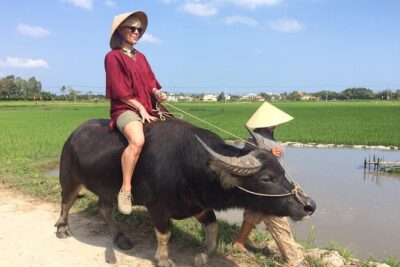 Hoi An Rice Farm Tour and Buffalo Riding with Local Home Meal - Meeting farmers, tea in the paddies, and what wet rice really means