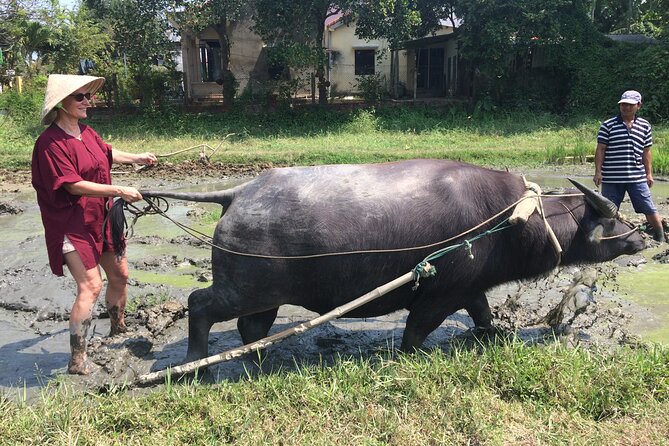 Hoi An Rice Farm Tour and Buffalo Riding with Local Home Meal - Buffalo riding in the fields: the moment people remember
