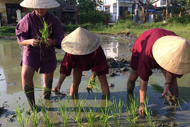Hoi An Rice Farm Tour and Buffalo Riding with Local Home Meal - What the lunch actually gives you (more than just food)