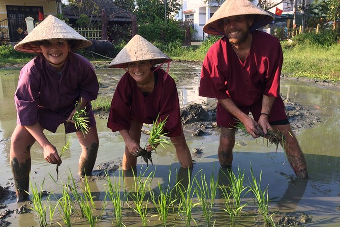 Hoi An Rice Farm Tour and Buffalo Riding with Local Home Meal - Price and value: what $60 covers in a private 5-hour day