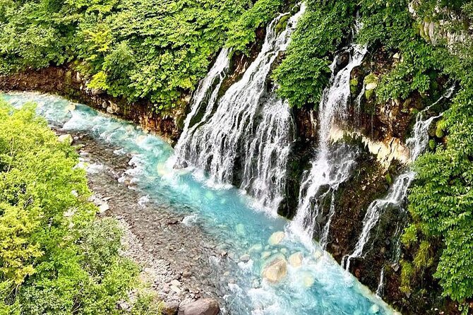 Hokkaido Farm Tomita Shikisai Hill Waterfall& Blue Pond Day Tour - Key things to know before you go