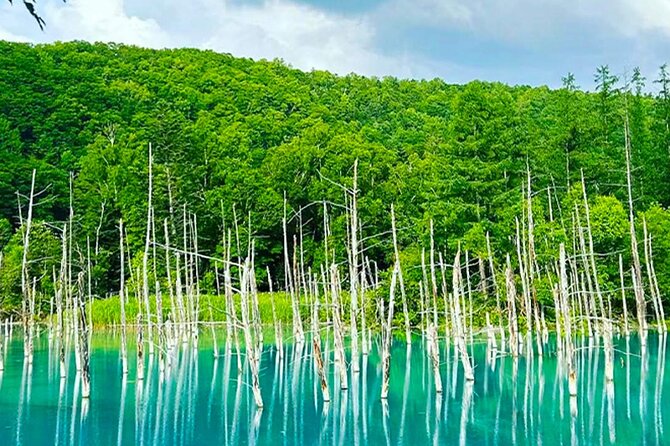 Hokkaido Farm Tomita Shikisai Hill Waterfall& Blue Pond Day Tour - Shirahige Falls: a needed break from the flower fields