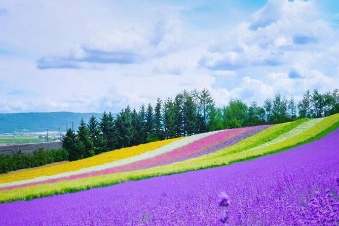 Hokkaido Farm Tomita Shikisai Hill Waterfall& Blue Pond Day Tour - Your bus day comfort plan (small changes that matter)