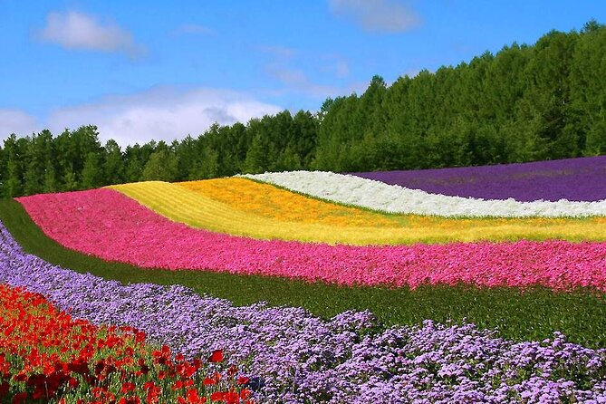 Hokkaido Farm Tomita Shikisai Hill Waterfall& Blue Pond Day Tour - Shikisai-no-Oka: the 15-hectare Hill of Seasonal Colors