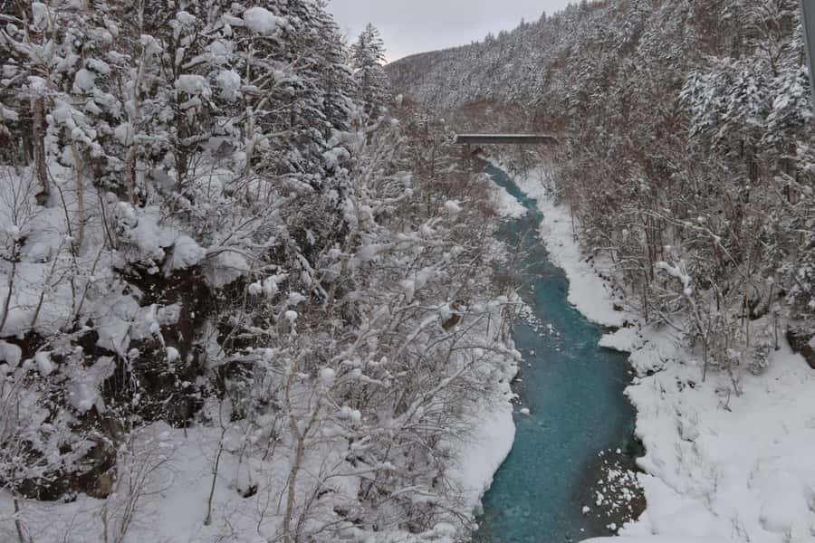 Hokkaido Lavender farm & Furano Flower Tour from Sapporo - Aoiike Blue Pond and the Turquoise Light Trick