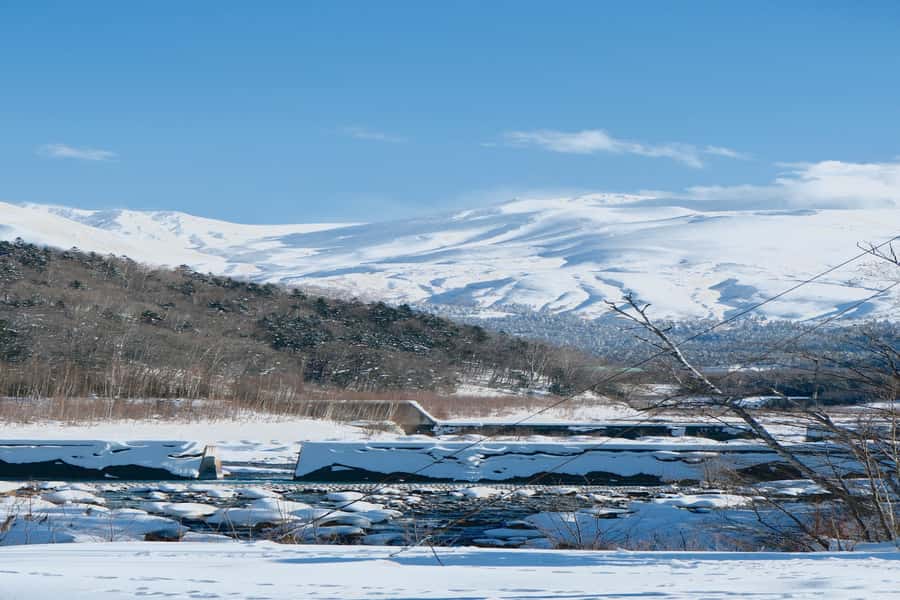 Hokkaido Lavender farm & Furano Flower Tour from Sapporo - Price and Logistics: How to Judge the Value at $69