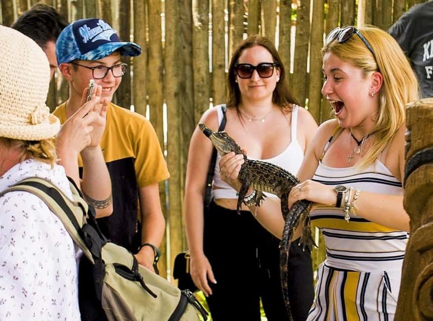 Homestead: Everglades Alligator Farm Entry and Airboat Ride - Feeding demonstrations and alligator handling shows: the education and the tradeoff