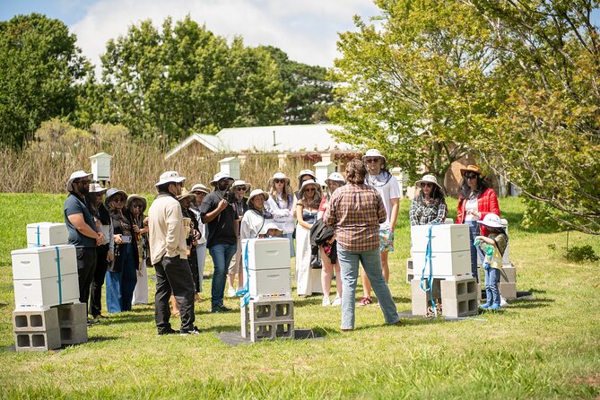 Honey Farm Tour. Morning Tea. Guided Tasting - Key highlights you’ll remember