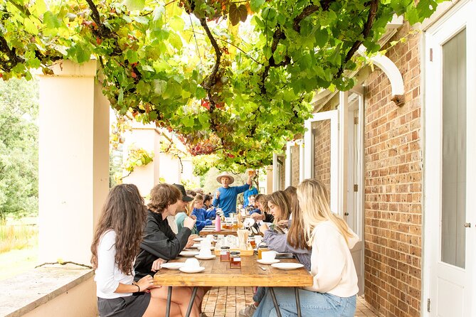 Honey Farm Tour. Morning Tea. Guided Tasting - The hive viewing: veil-on, calm observation, real beekeeping context