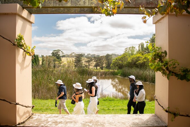 Honey Farm Tour. Morning Tea. Guided Tasting - Flow Hive demonstration: how a modern hive works (without the clutter)