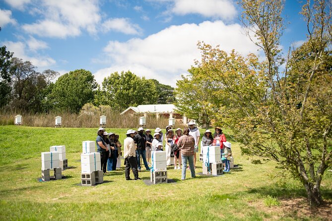 Honey Farm Tour. Morning Tea. Guided Tasting - Families and first-timers: why this tour fits