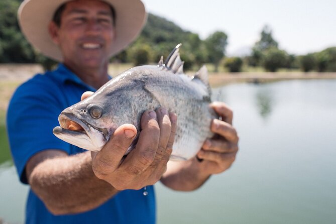 Hook-A-Barra Fishing and Farm Activity - From baby ponds to the big barra pond: guided fishing that actually helps