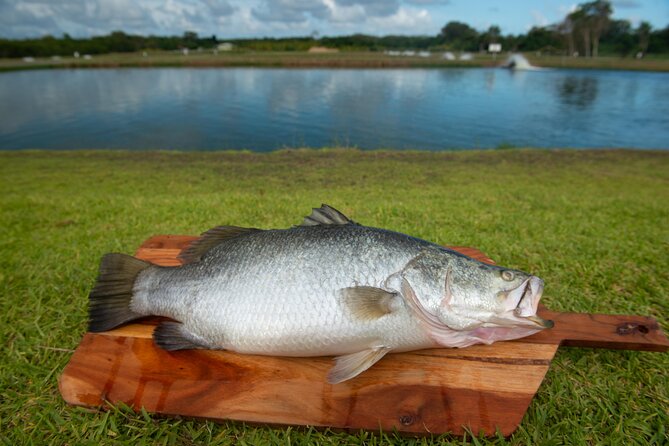 Hook-A-Barra Fishing and Farm Activity - Should you book Hook-A-Barra Fishing and Farm Activity?