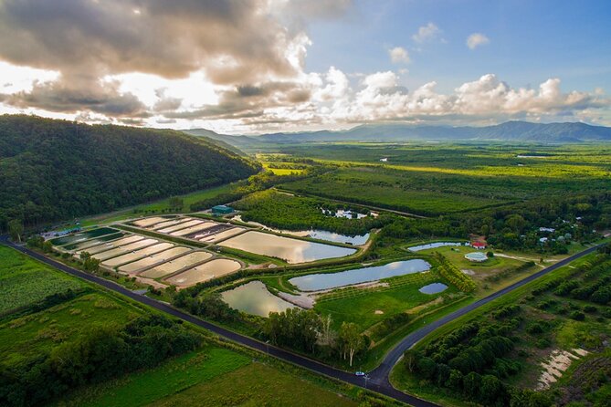 Hook-A-Barra Fishing and Farm Activity - Behind the scenes at the Daintree Saltwater Barramundi Farm