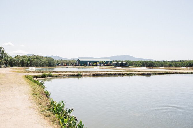 Hook-a-Barra Gourmet Farm Tour - Small-group comfort: max six travelers