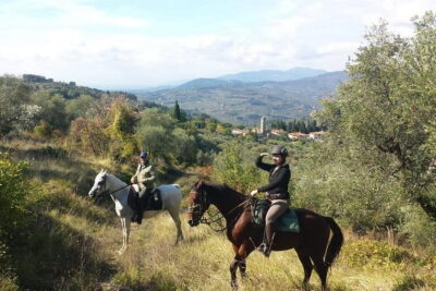 Horse ride, Olive Oil and local foods tasting in a Tuscan farm - The Ride’s Practical Side: Helmets, Rain Coats, and Timing
