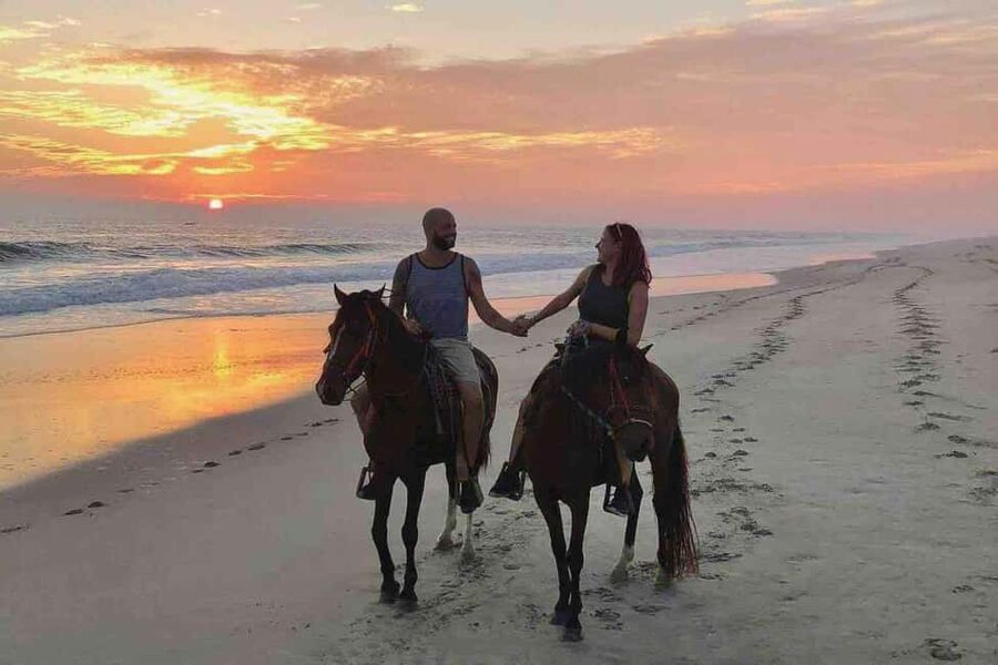 Horse Riding and Training Experience on a Farm in Antalya - Key points before you saddle up