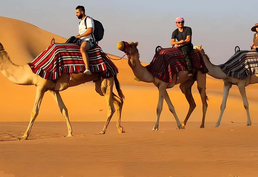 Horse Riding and Training Experience on a Farm in Antalya - Camel, donkey, or horse: what you should expect on the ground
