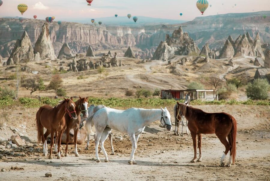 Horse Riding Cappadocia- Cappadocia Horse Farm - The riding reality: what 25 minutes at a time really means