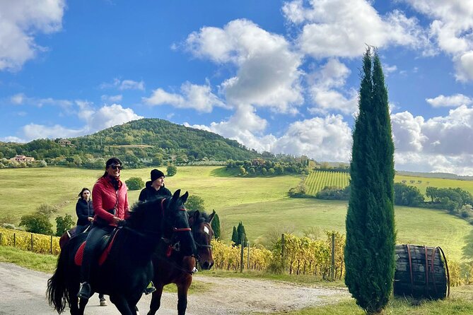 Horseback riding in Montepulciano Tuscany, lunch on the farm - Quick highlights