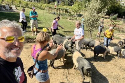 Horseback riding in Montepulciano Tuscany, lunch on the farm - Starting at Fattoria Madonna della Querce (Via Madonna della Querce, 6/A)
