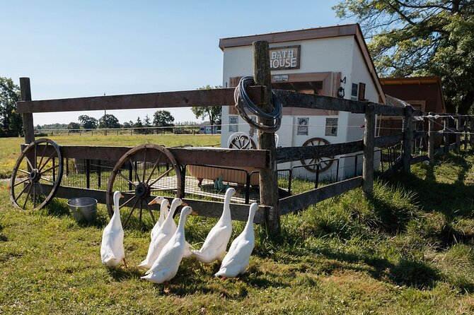 Humberstone Ranch Visit with Mini Domestic Animals - Key Highlights at Humberstone Ranch