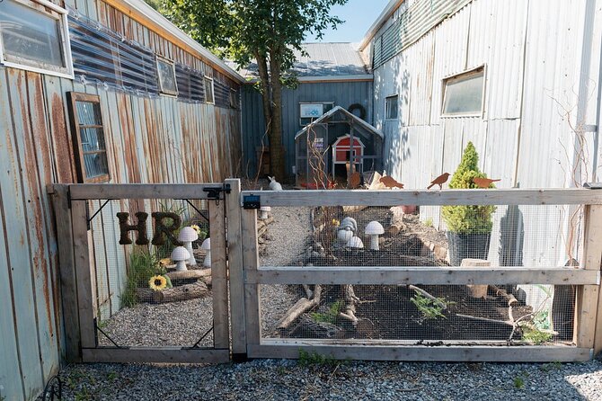 Humberstone Ranch Visit with Mini Domestic Animals - Price, Group Size, and How to Plan Your Hour