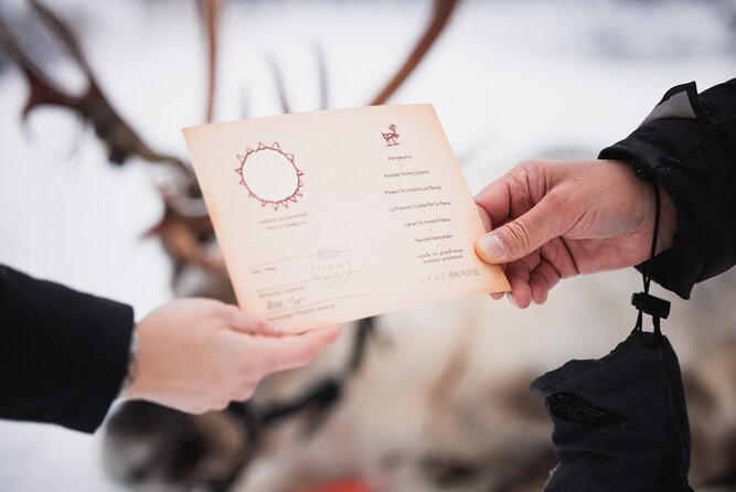 Husky and Reindeer Experience - Price and value: what $143 tends to cover