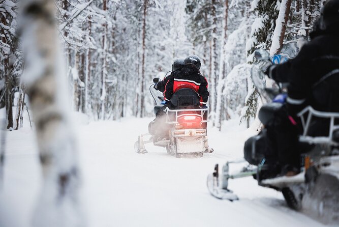 Husky and Reindeer Experience With Snowmobiling - Husky, Reindeer, and Snowmobile in One Day: The Value Play